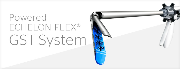 Powered ECHELON FLEX GST System