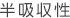 半吸収性