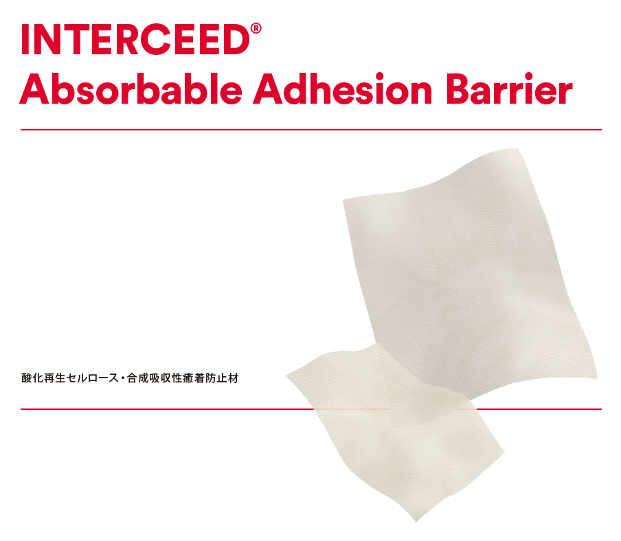 INTERCEED_catalog_0